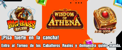 Portal de Agente Colbet